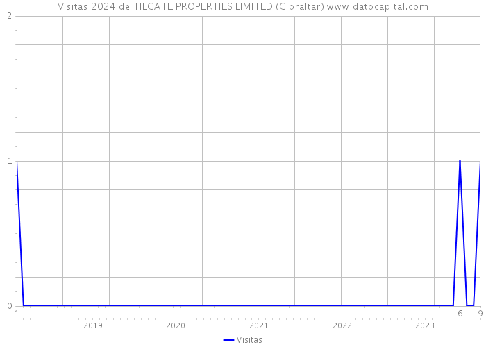 Visitas 2024 de TILGATE PROPERTIES LIMITED (Gibraltar) 