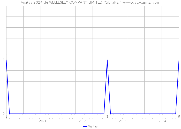 Visitas 2024 de WELLESLEY COMPANY LIMITED (Gibraltar) 