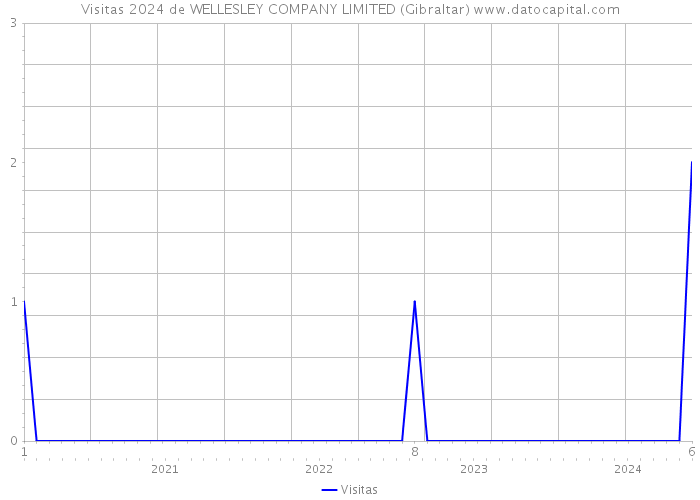 Visitas 2024 de WELLESLEY COMPANY LIMITED (Gibraltar) 