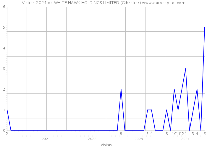 Visitas 2024 de WHITE HAWK HOLDINGS LIMITED (Gibraltar) 