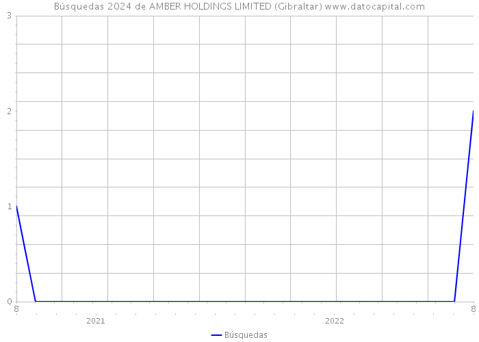 Búsquedas 2024 de AMBER HOLDINGS LIMITED (Gibraltar) 