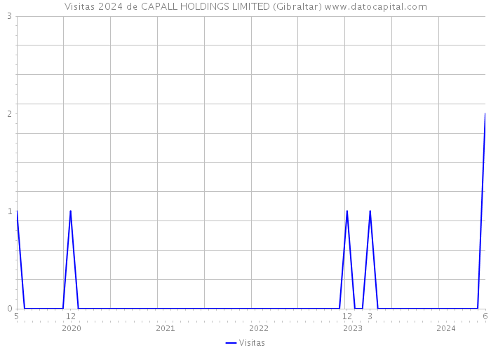 Visitas 2024 de CAPALL HOLDINGS LIMITED (Gibraltar) 