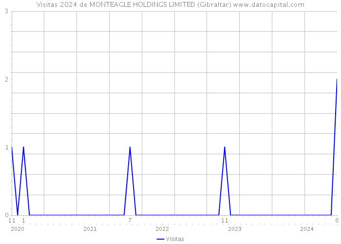 Visitas 2024 de MONTEAGLE HOLDINGS LIMITED (Gibraltar) 