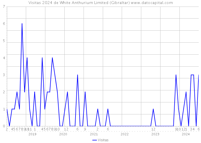 Visitas 2024 de White Anthurium Limited (Gibraltar) 
