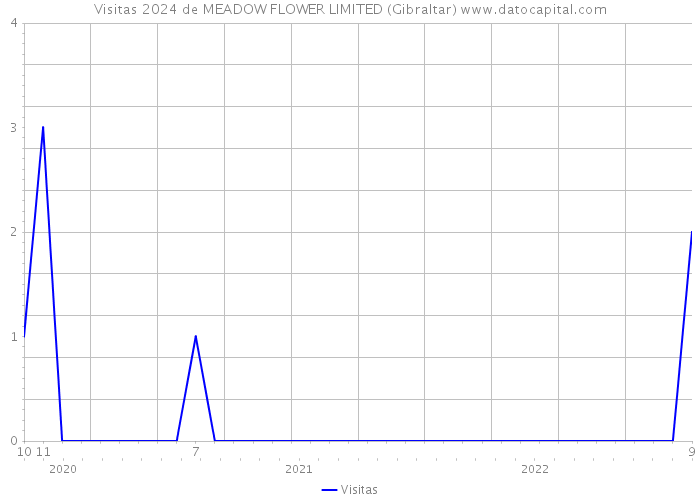 Visitas 2024 de MEADOW FLOWER LIMITED (Gibraltar) 
