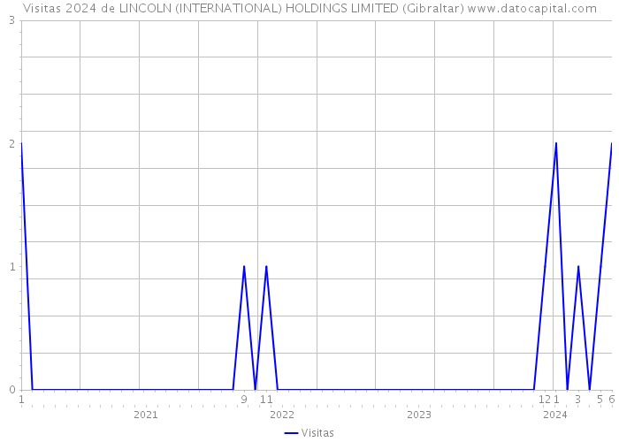 Visitas 2024 de LINCOLN (INTERNATIONAL) HOLDINGS LIMITED (Gibraltar) 