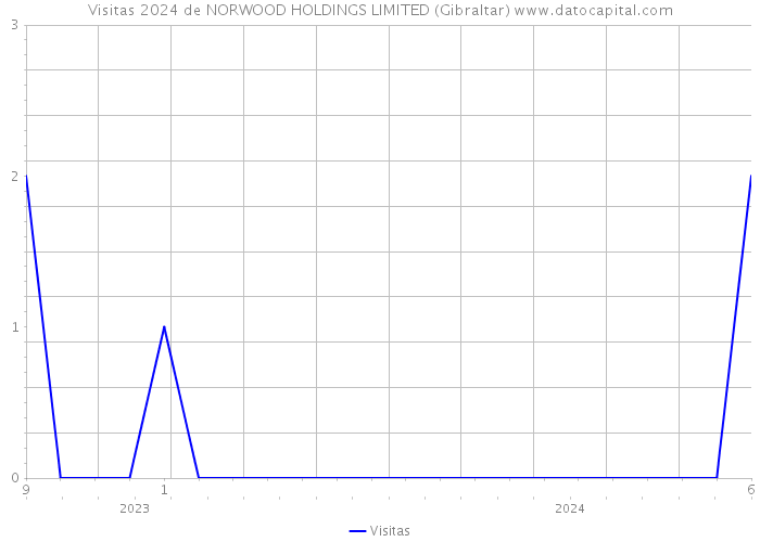 Visitas 2024 de NORWOOD HOLDINGS LIMITED (Gibraltar) 