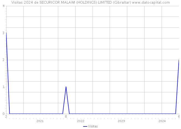 Visitas 2024 de SECURICOR MALAWI (HOLDINGS) LIMITED (Gibraltar) 