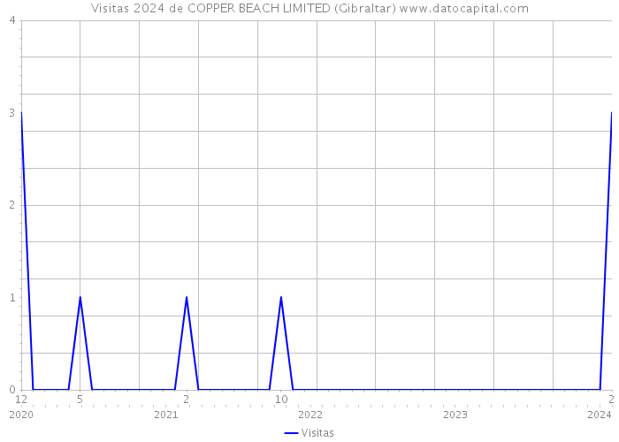 Visitas 2024 de COPPER BEACH LIMITED (Gibraltar) 