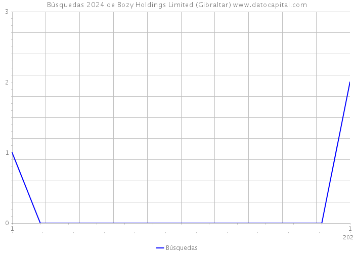 Búsquedas 2024 de Bozy Holdings Limited (Gibraltar) 