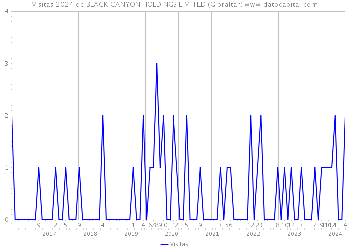 Visitas 2024 de BLACK CANYON HOLDINGS LIMITED (Gibraltar) 