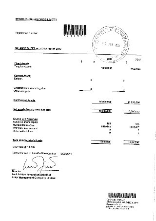 2013 filed balance sheet (página 7)